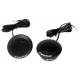 Rockford Fosgate R1T-S